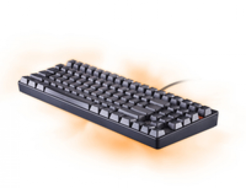 RAPOO V500 Puristische Mechanische Gaming Tastatur Wired (DEU Layout - QWERTZ)