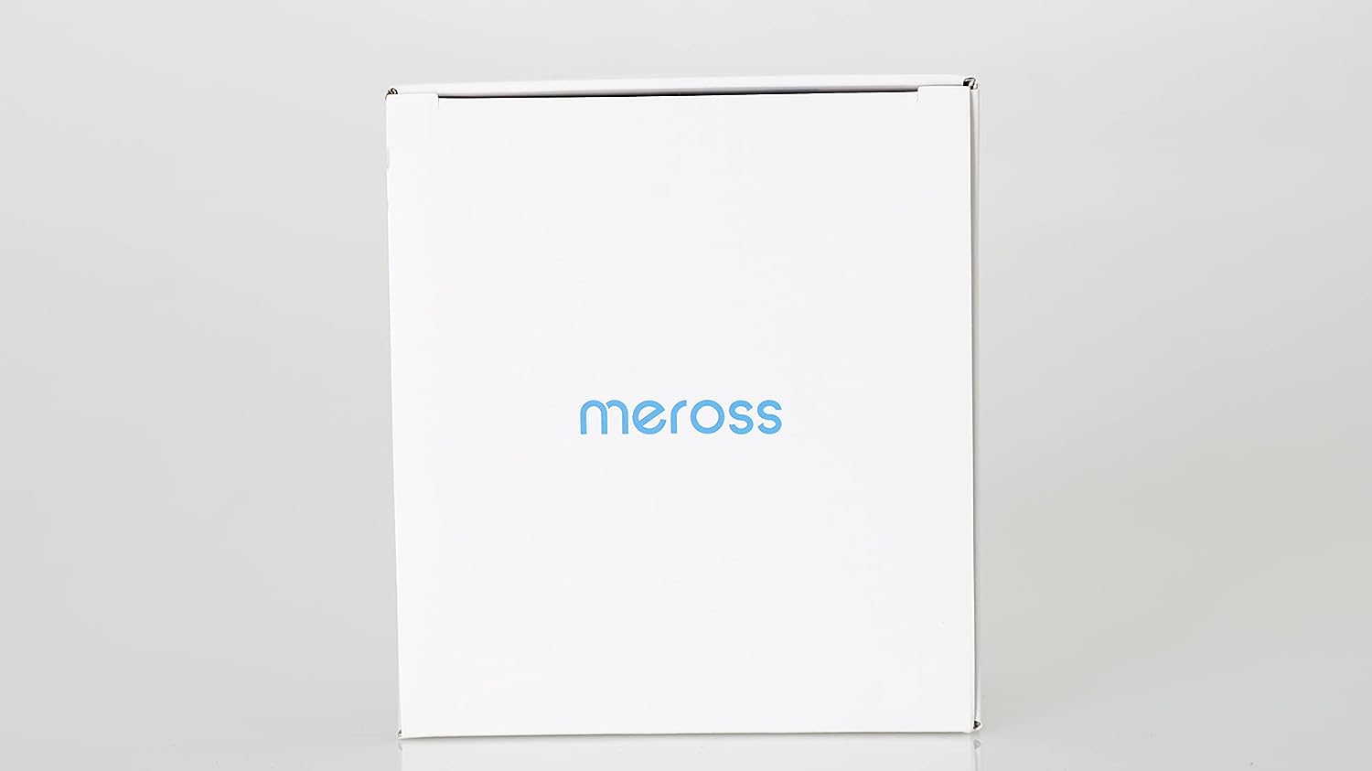 Meross Italienische WiFi-Steckdose 16A, intelligente Energieüberwachung (Typ L), Programmfunktion, Sprachsteuerung und Fernbedienung, kompatibel mit Alexa, Google Assistant, 3840 W, 2 Stück