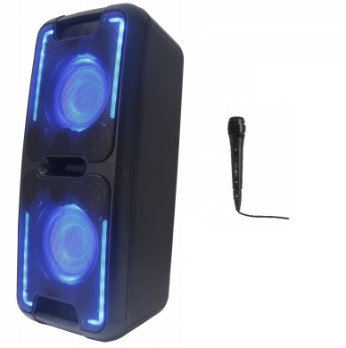 Reflexion PS08BT DJ Karaoke PA-Anlage, mobil mit Akku und Lichteffekten (Bluetooth, USB, AUX, Mikrofon, 480 Watt), schwarz