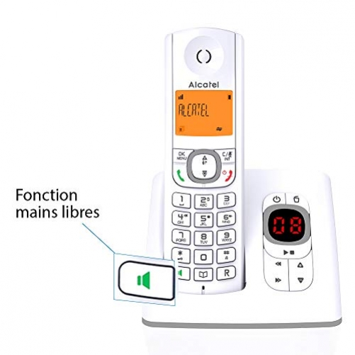 Alcatel F530 DECT-Telefon Grau, Weiu00df Anrufer-Identifikation - Plug-Type C (EU)