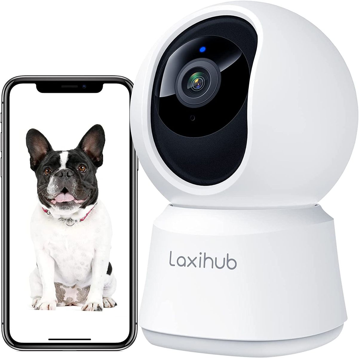 LAXIHUB Hundekamera Überwachungskamera Innen Kamera Hundekamera mit App WLAN 2,4 GHz Haustierkamera 1080P HD Nachtsicht 2-Wege-Audio Pet Security Camera Bewegungs- & Geräuscherkennung Alexa (1PC) 1 Stück