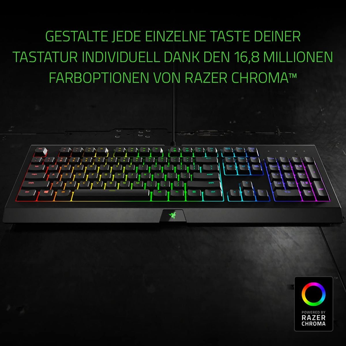 Razer Cynosa Chroma Gaming Keyboard Membrane Switches RGB DEU Layout QWERTZ