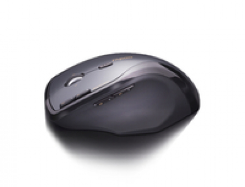 rapoo 7600 Plus Laser 1.000 DPI 2.4GHz RF Wireless Ergonomische Maus grau