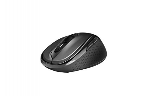 Rapoo M500 Silent Maus rechts RF Wireless + Bluetooth Optisch 1600 DPI