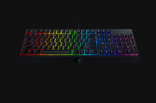 RAZER Blackwidow Mechanische Gaming Tastatur mit Green Switches - RGB Chroma Beleuchtung (DEU Layout - QWERTZ)