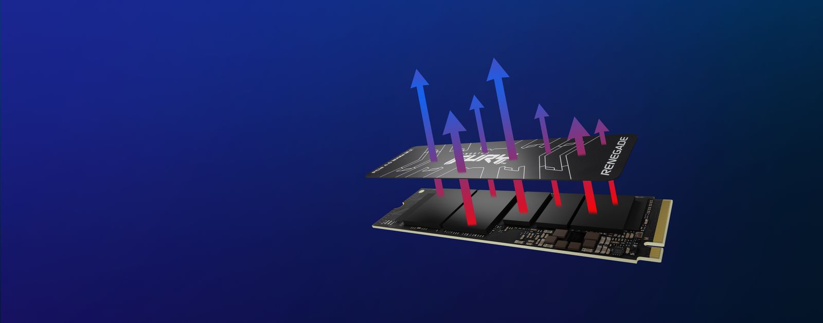 Kingston FURY Renegade SFYRS/1000G 1 TB M.2 2280 NVMe PCIe 4.0 SSD, 7300/6000 MB/s, Phison E18, 3D TLC
