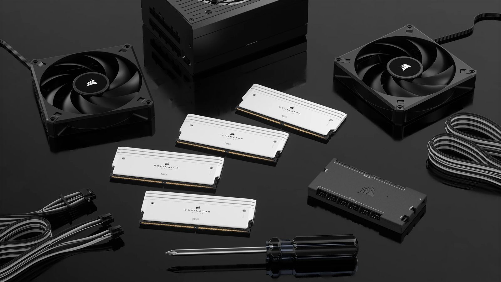 Corsair Dominator Titanium CMP64GX5M2X6600C32W 64 GB (2 x 32 GB) DDR5-6600 CL32 RGB XMP 3.0