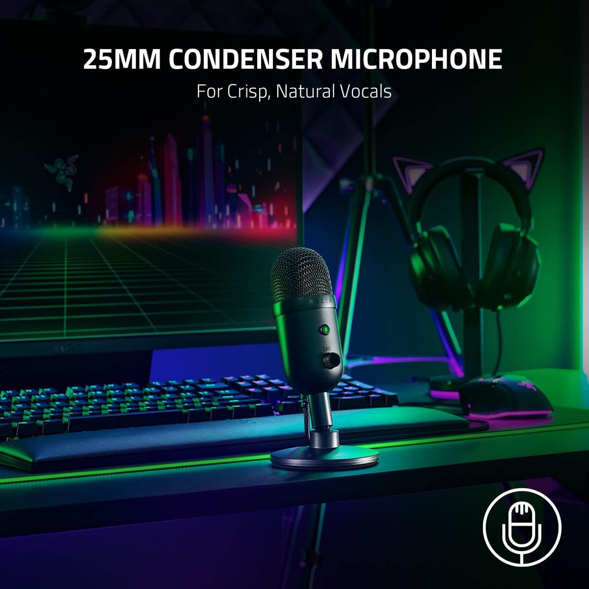 Razer Seiren V2 X Microphone USB Streaming Broadcasting 48 kHz 25mm Condenser PC Black