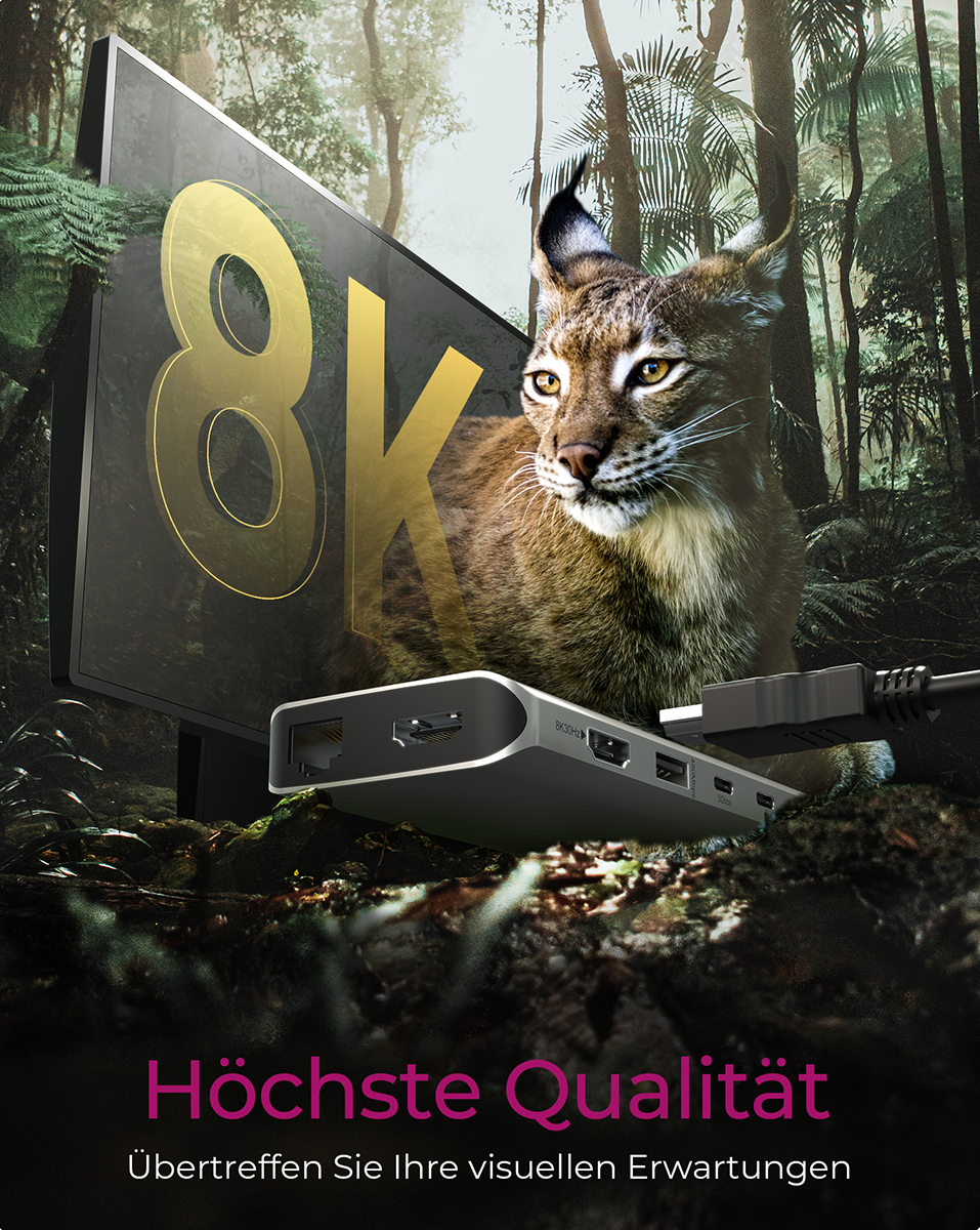 ICY BOX IB-DK4061-CPD 12-in-1 USB Type-C Notebook-Dockingstation, 2x HDMI, DisplayPort Alt Mode 8K/4K, USB PD 100 W, Gbit LAN, SD/microSD, Headset 3,5 mm