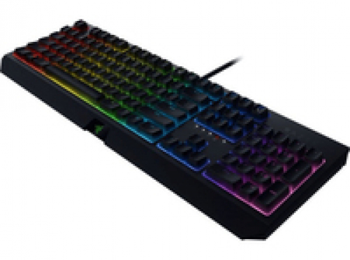 RAZER Blackwidow Mechanische Gaming Tastatur mit Green Switches - RGB Chroma Beleuchtung (DEU Layout - QWERTZ)