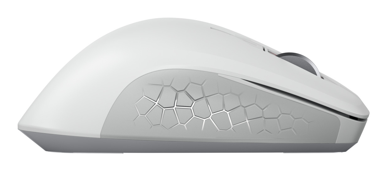 CHERRY JW-8550-0 Maus Universal rechts RF Wireless Optisch 4000 DPI