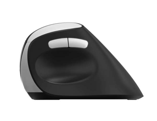 Rapoo EV250 Maus rechts RF Wireless Optisch 1600 DPI