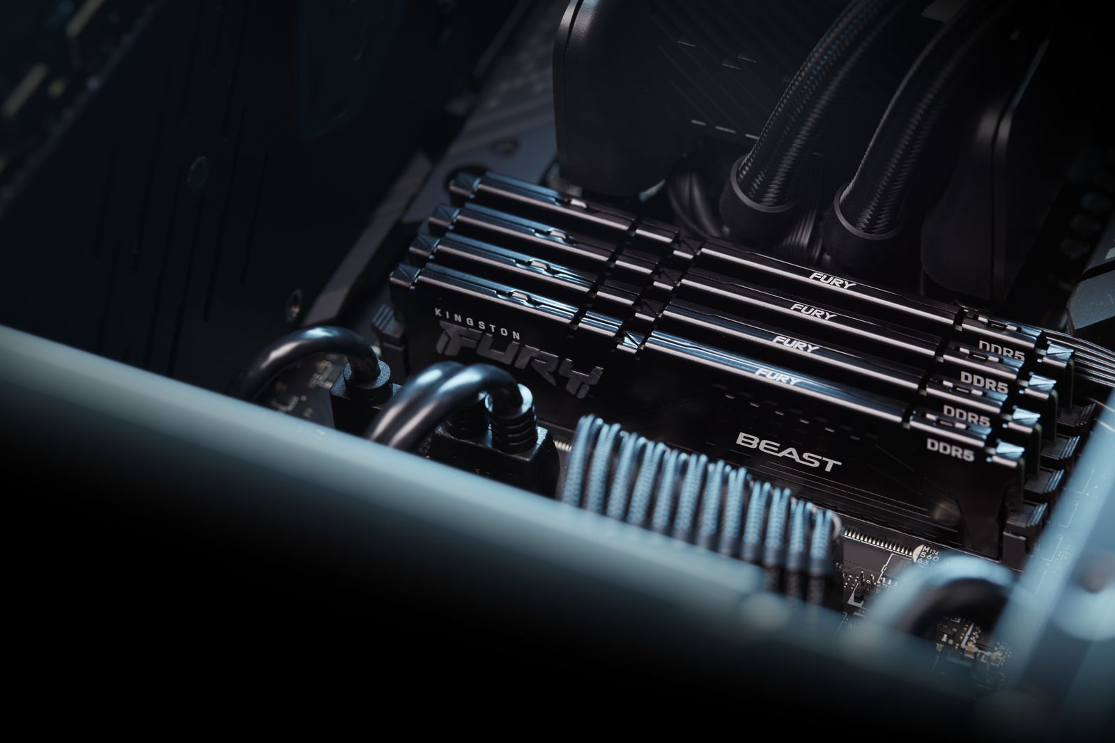 Kingston FURY Beast KF556C40BBK2-32 32GB (2x16GB) DDR5 5600 MT/s CL40 DIMM, Intel XMP 3.0, Schwarz