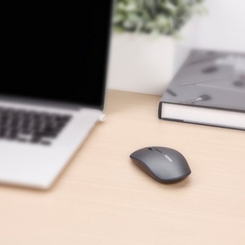 rapoo 3510 Optische 1.000 DPI 2.4GHz Wireless Maus Beidhändig grau/schwarz