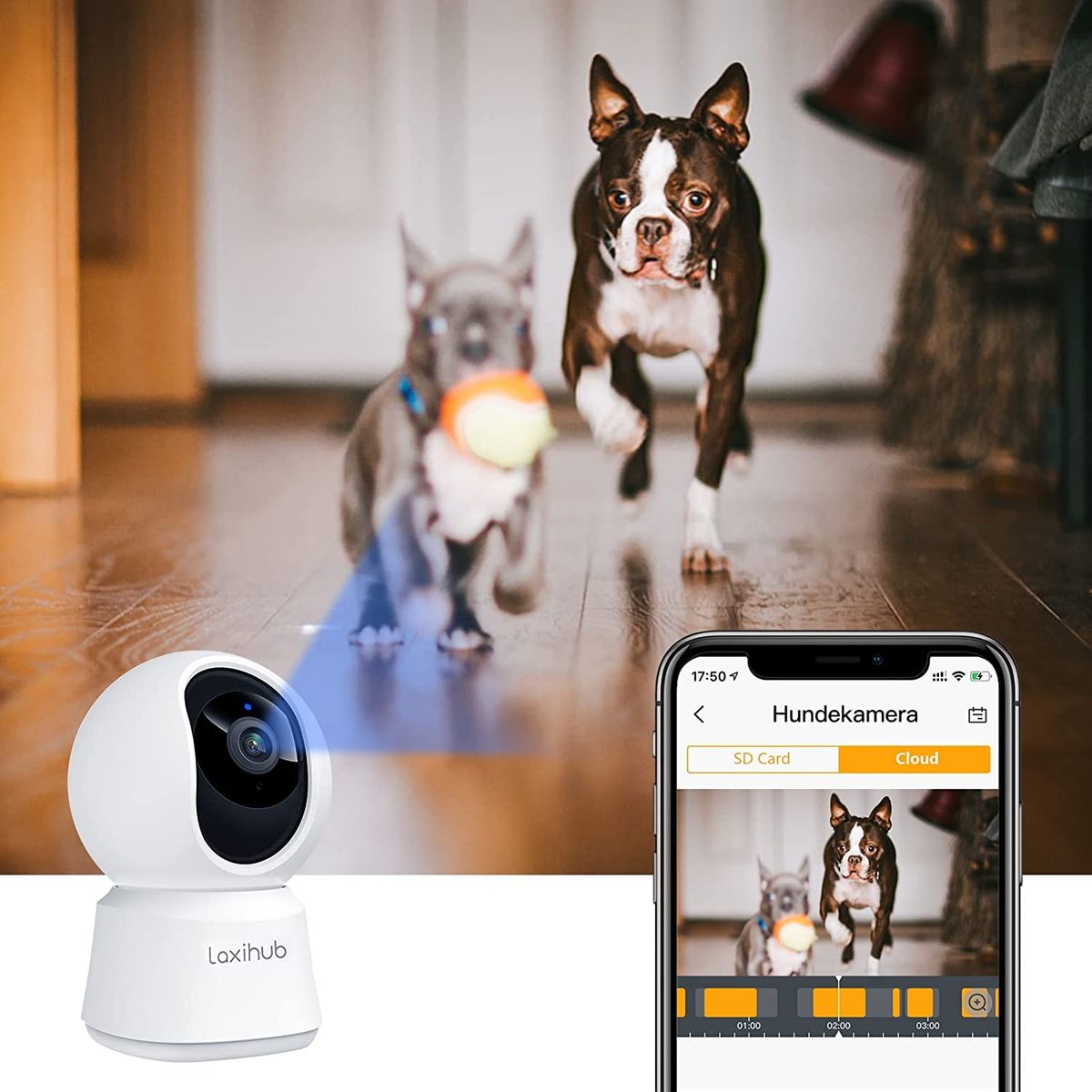 LAXIHUB Hundekamera Überwachungskamera Innen Kamera Hundekamera mit App WLAN 2,4 GHz Haustierkamera 1080P HD Nachtsicht 2-Wege-Audio Pet Security Camera Bewegungs- & Geräuscherkennung Alexa (1PC) 1 Stück
