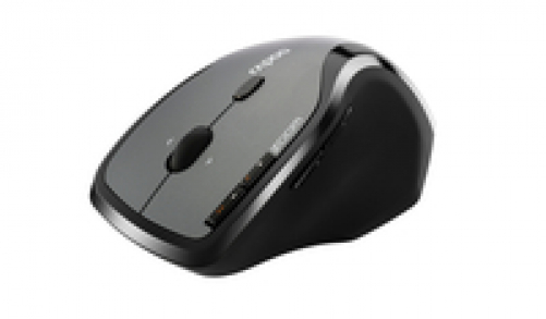 rapoo 7600 Plus Laser 1.000 DPI 2.4GHz RF Wireless Ergonomische Maus grau